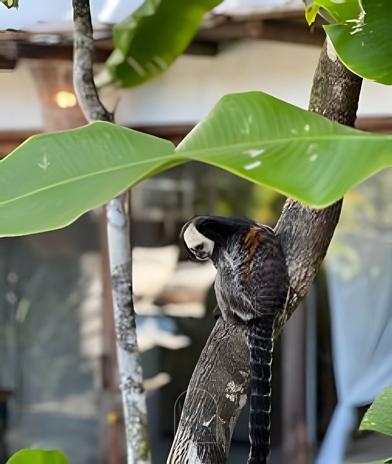 Villa Alba • Design, Piscina e Jacuzzi em Trancoso