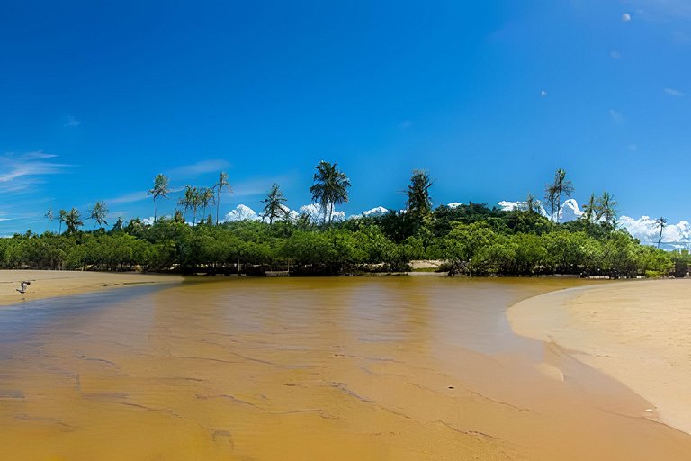 Villa Alba • Design, Piscina e Jacuzzi em Trancoso