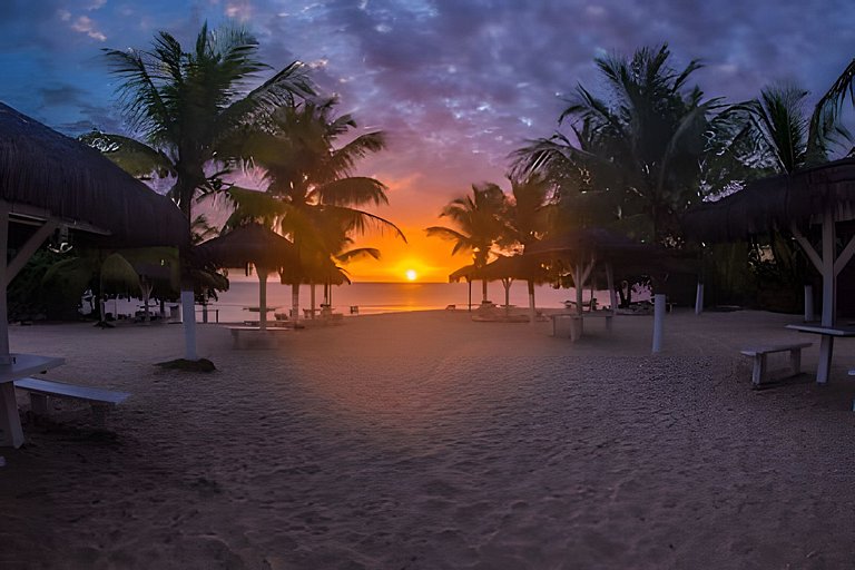 Villa Alba • Design, Piscina e Jacuzzi em Trancoso